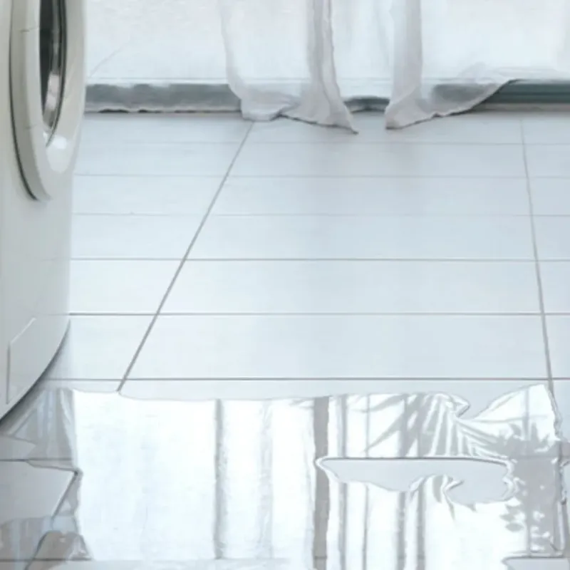 Appliance Leak Cleanup in Lee County, NC