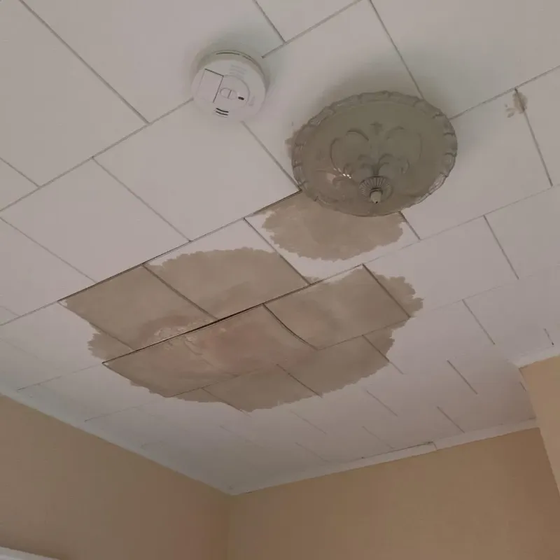 Ceiling Water Damage Repair in Lee County, NC
