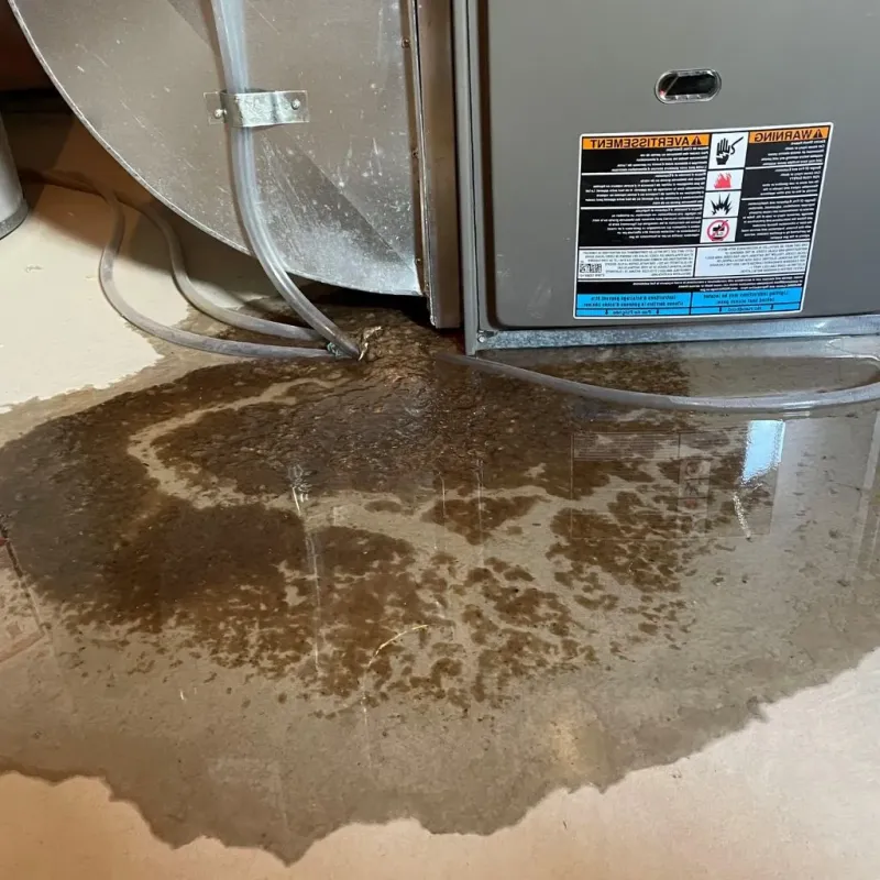 Pipe Burst and Leak Restoration in Lee County, NC