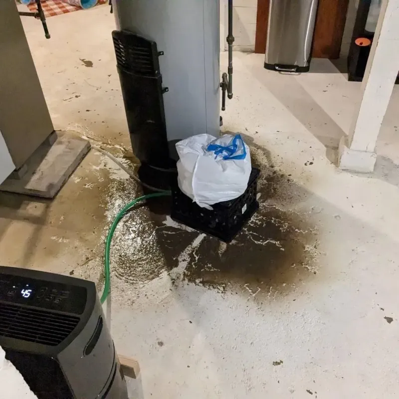 Sewage Backup Cleanup Service in Lee County, NC